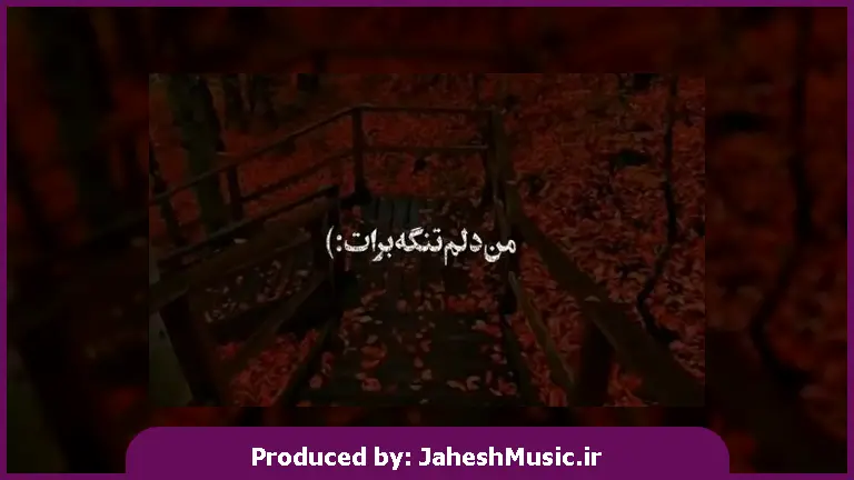 دانلود آهنگ من دلم تنگه برات هرجا رفتم نپرید
